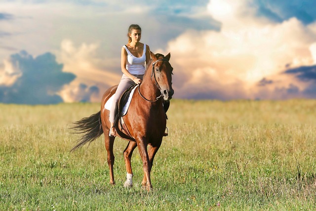 Are horses male or female?